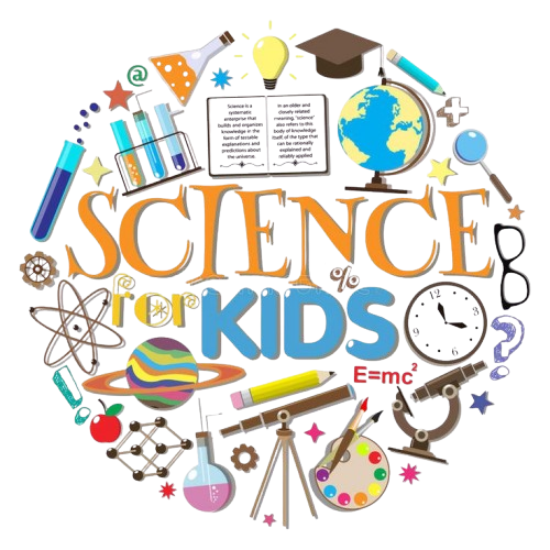 Plant Growth Simulation